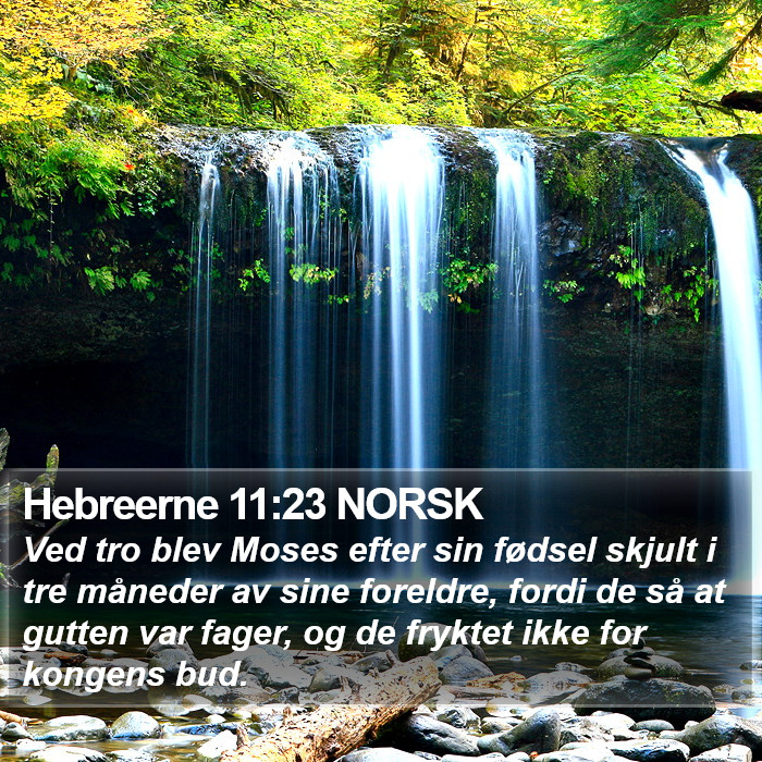 Hebreerne 11:23 NORSK Bible Study