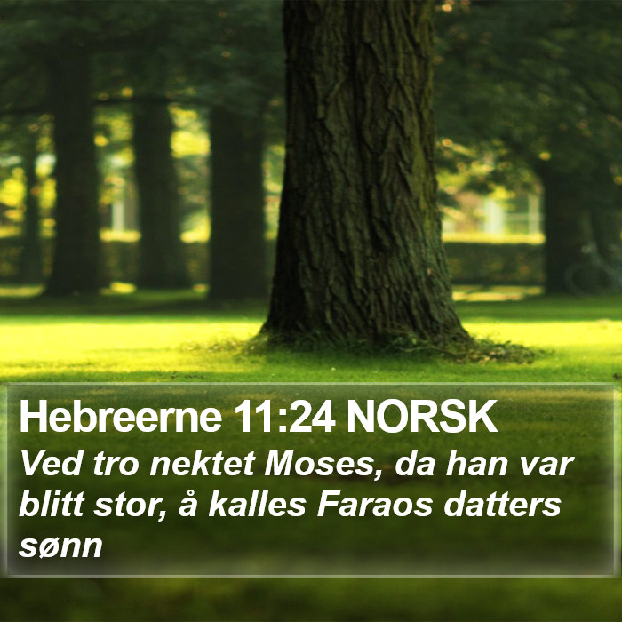 Hebreerne 11:24 NORSK Bible Study