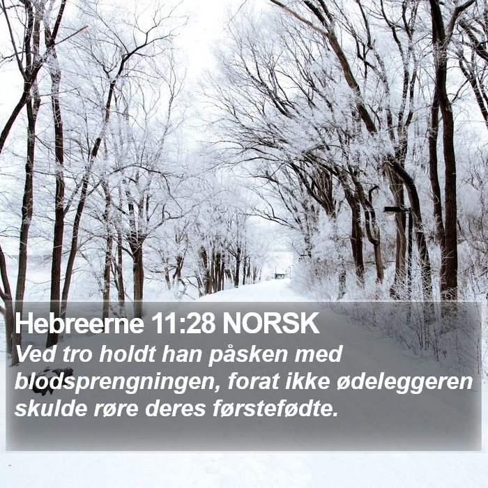 Hebreerne 11:28 NORSK Bible Study