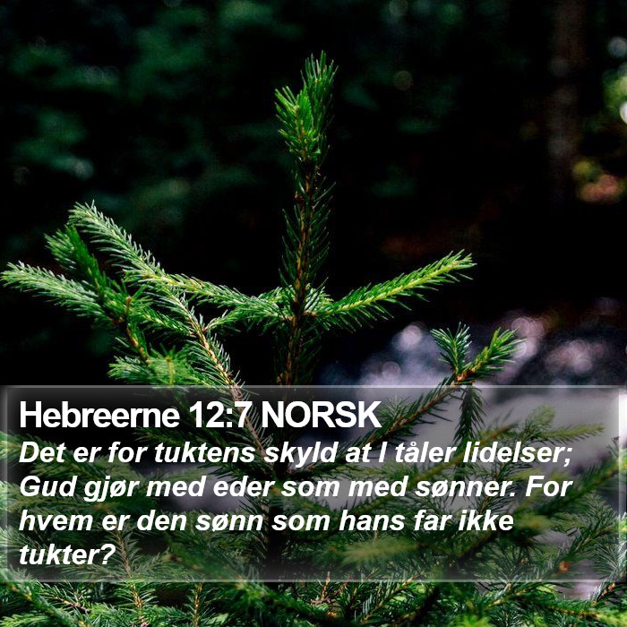 Hebreerne 12:7 NORSK Bible Study