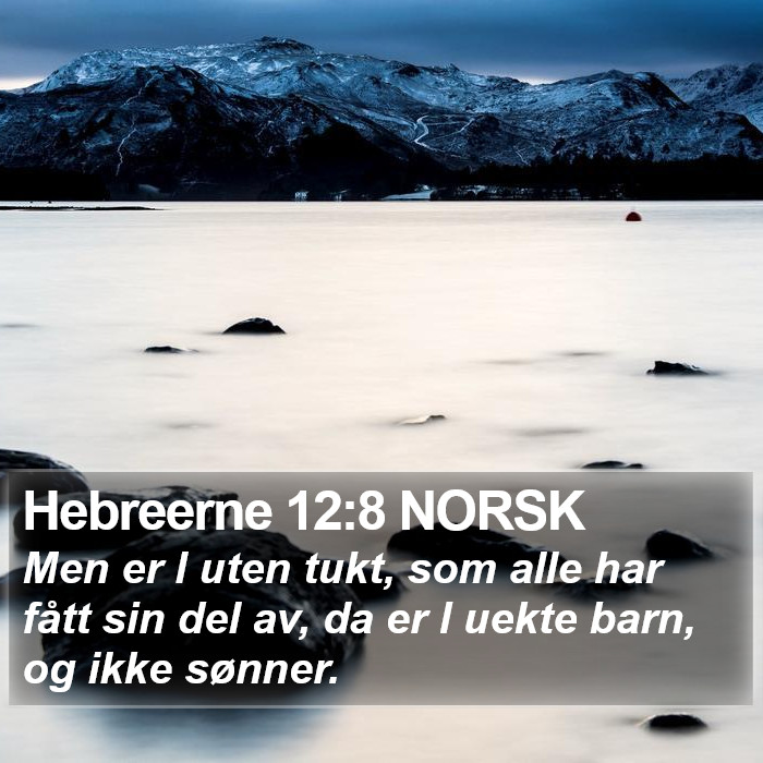 Hebreerne 12:8 NORSK Bible Study