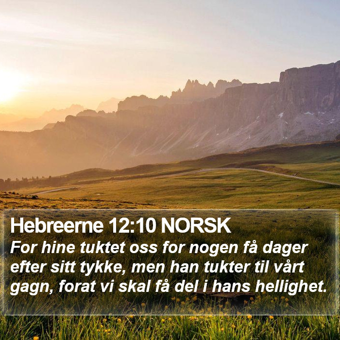 Hebreerne 12:10 NORSK Bible Study