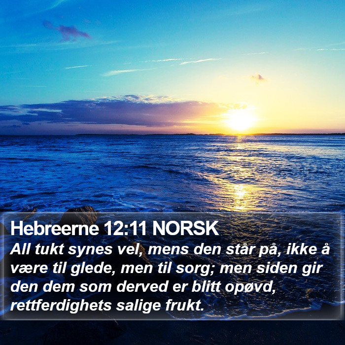 Hebreerne 12:11 NORSK Bible Study