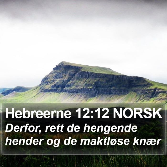 Hebreerne 12:12 NORSK Bible Study