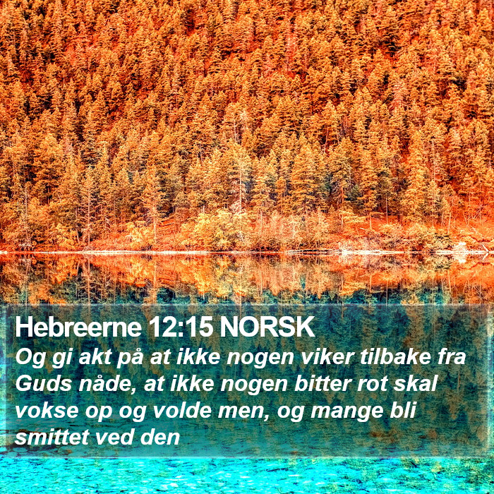 Hebreerne 12:15 NORSK Bible Study