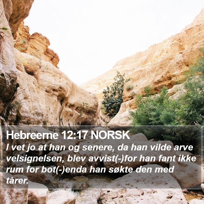 Hebreerne 12:17 NORSK Bible Study