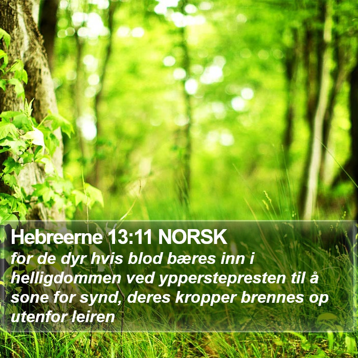 Hebreerne 13:11 NORSK Bible Study