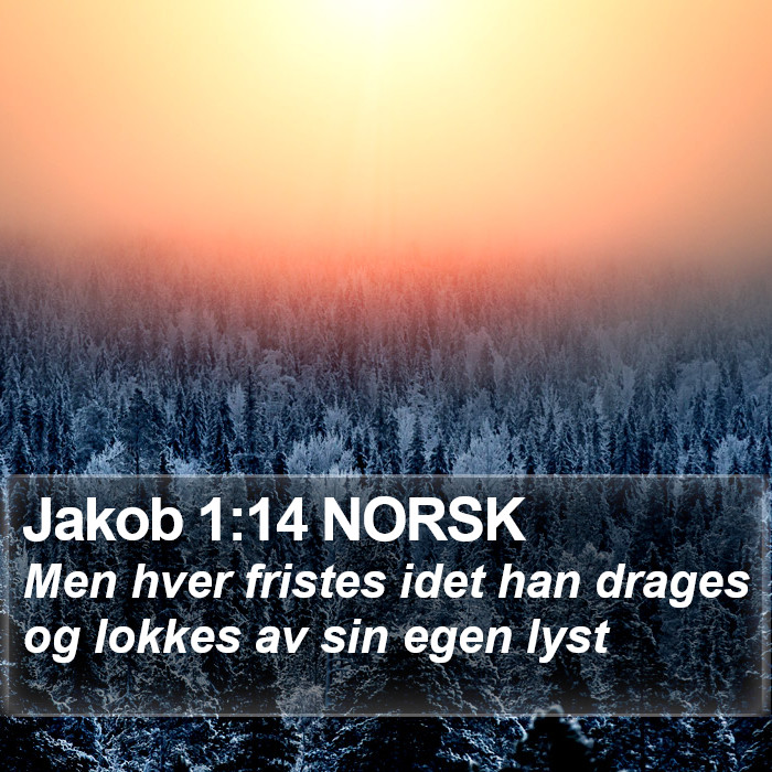 Jakob 1:14 NORSK Bible Study