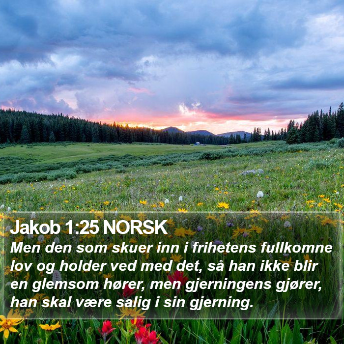 Jakob 1:25 NORSK Bible Study