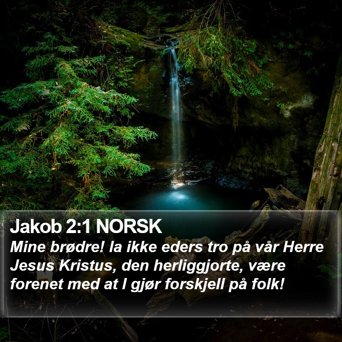 Jakob 2:1 NORSK Bible Study