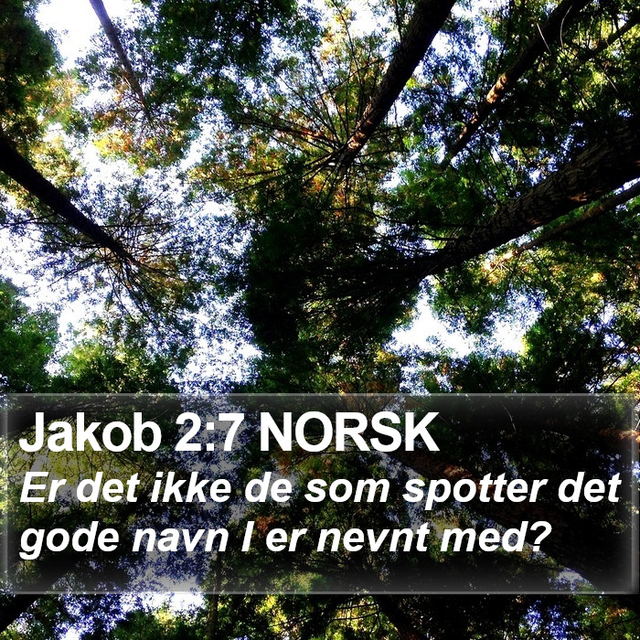 Jakob 2:7 NORSK Bible Study