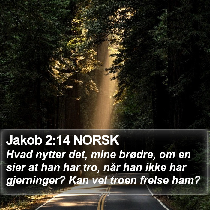 Jakob 2:14 NORSK Bible Study