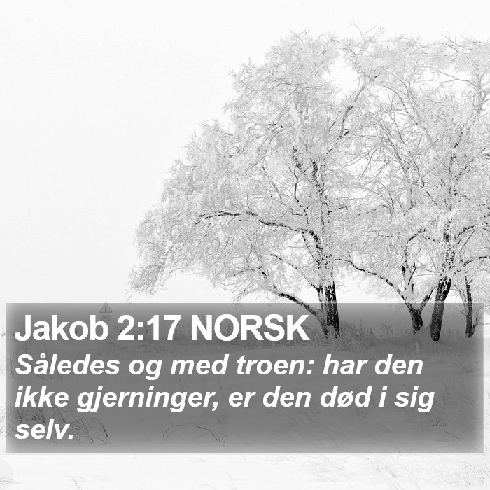 Jakob 2:17 NORSK Bible Study