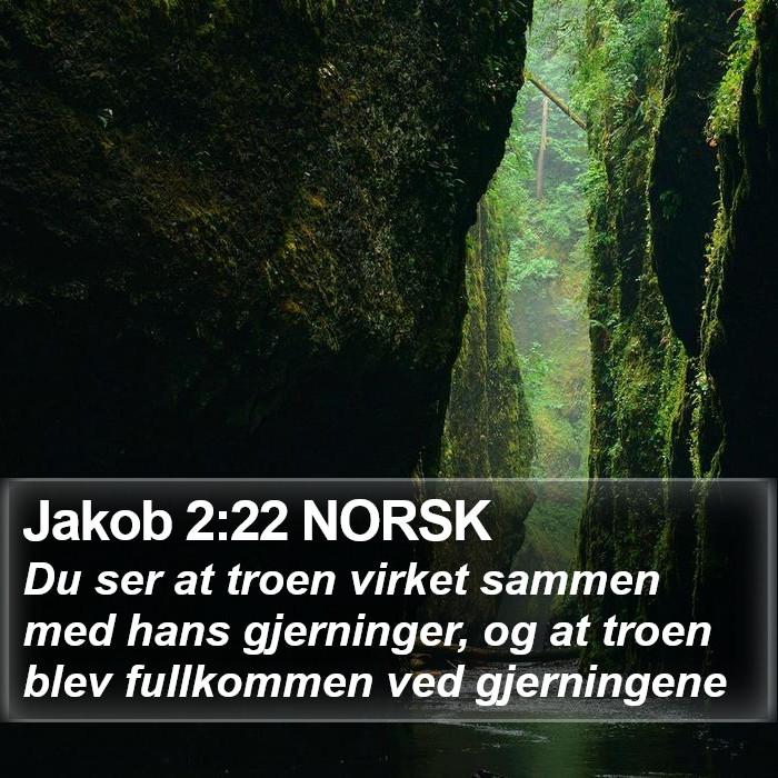 Jakob 2:22 NORSK Bible Study