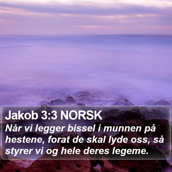 Jakob 3:3 NORSK Bible Study