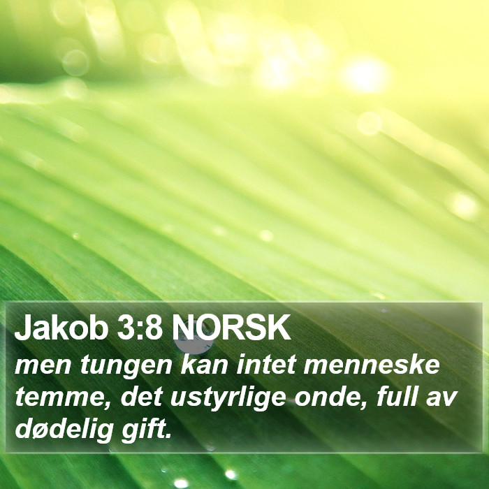 Jakob 3:8 NORSK Bible Study