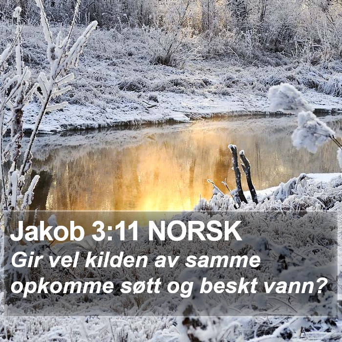 Jakob 3:11 NORSK Bible Study