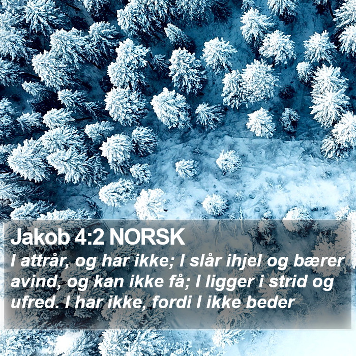 Jakob 4:2 NORSK Bible Study