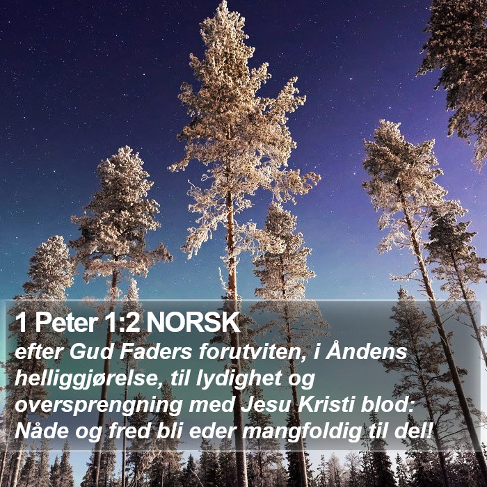 1 Peter 1:2 NORSK Bible Study