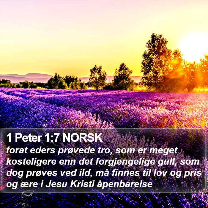 1 Peter 1:7 NORSK Bible Study