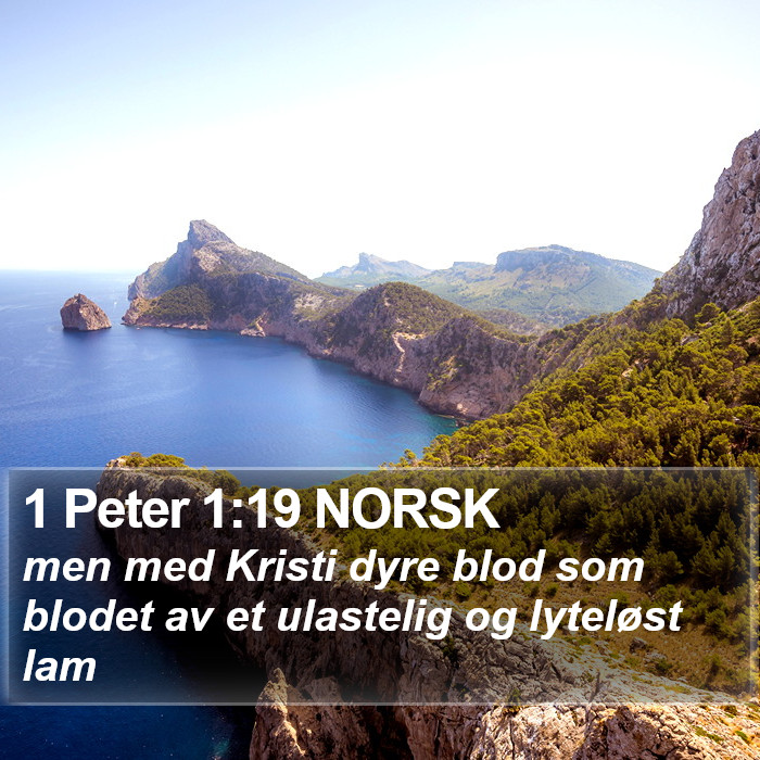 1 Peter 1:19 NORSK Bible Study