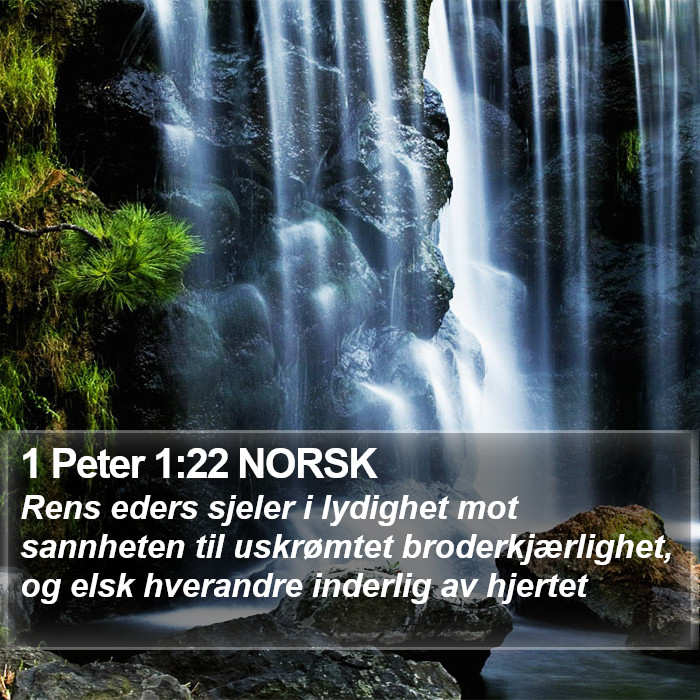 1 Peter 1:22 NORSK Bible Study