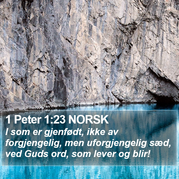 1 Peter 1:23 NORSK Bible Study