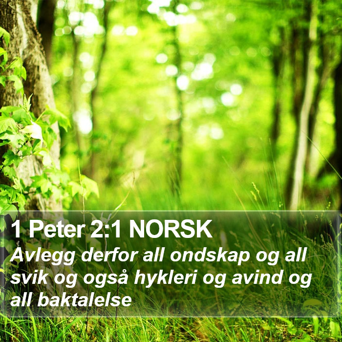 1 Peter 2:1 NORSK Bible Study