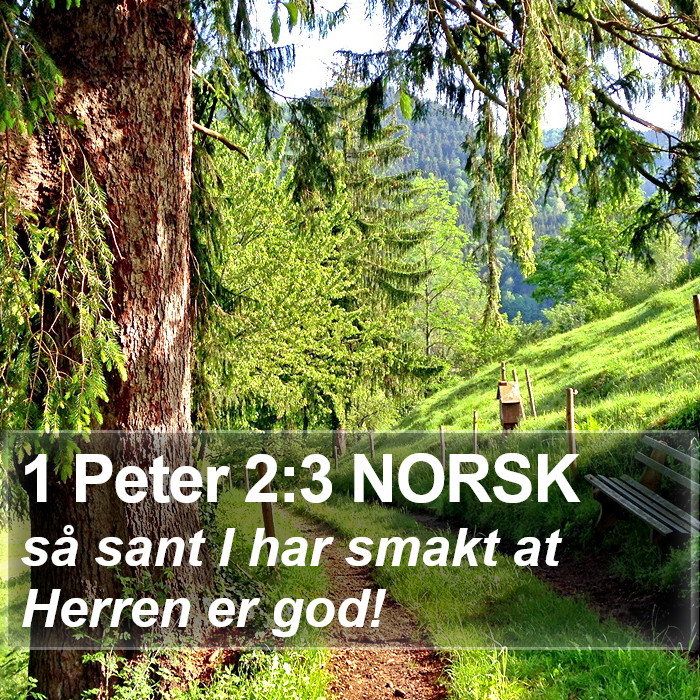 1 Peter 2:3 NORSK Bible Study