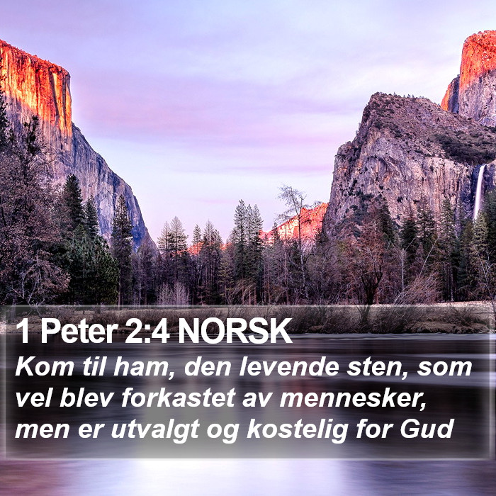 1 Peter 2:4 NORSK Bible Study