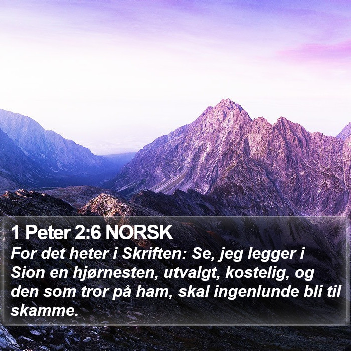 1 Peter 2:6 NORSK Bible Study