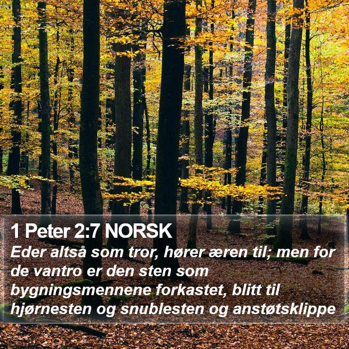 1 Peter 2:7 NORSK Bible Study