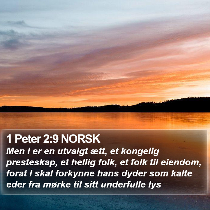 1 Peter 2:9 NORSK Bible Study