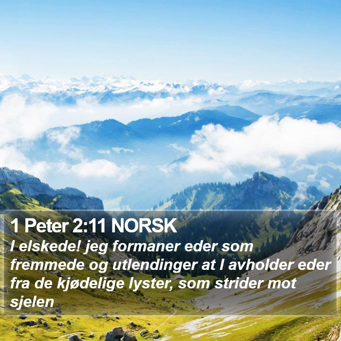 1 Peter 2:11 NORSK Bible Study