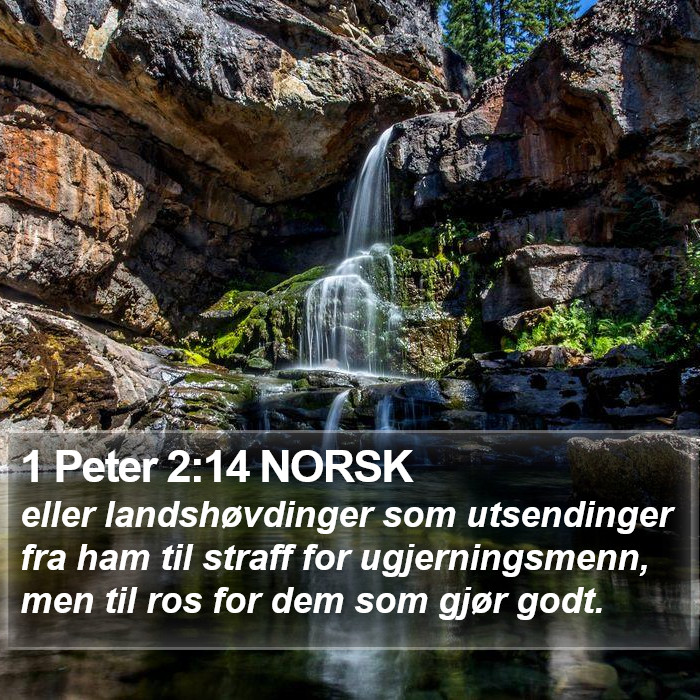 1 Peter 2:14 NORSK Bible Study