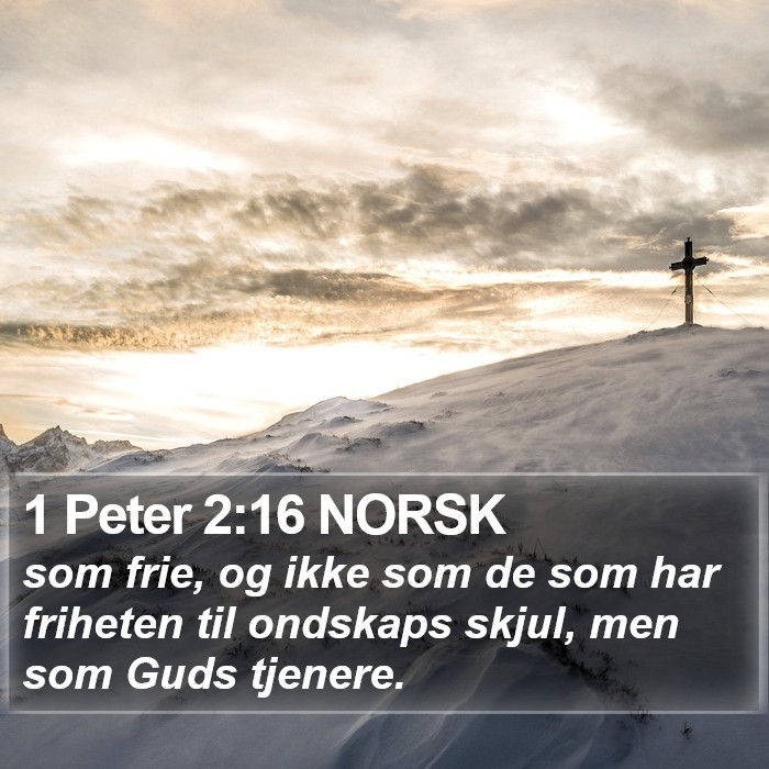 1 Peter 2:16 NORSK Bible Study