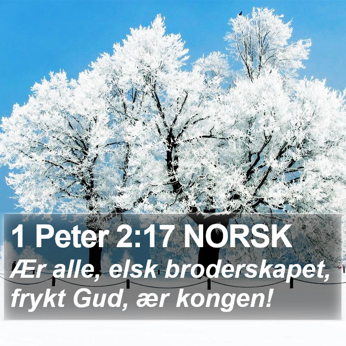 1 Peter 2:17 NORSK Bible Study