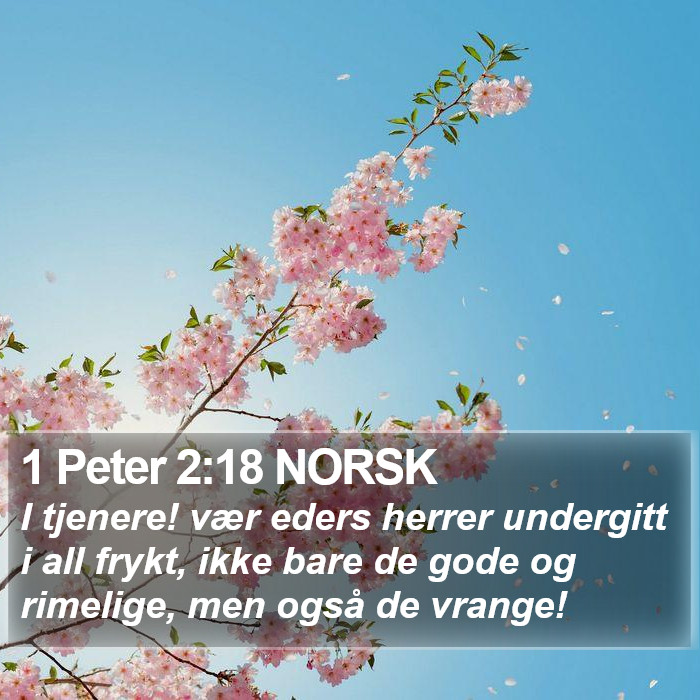 1 Peter 2:18 NORSK Bible Study