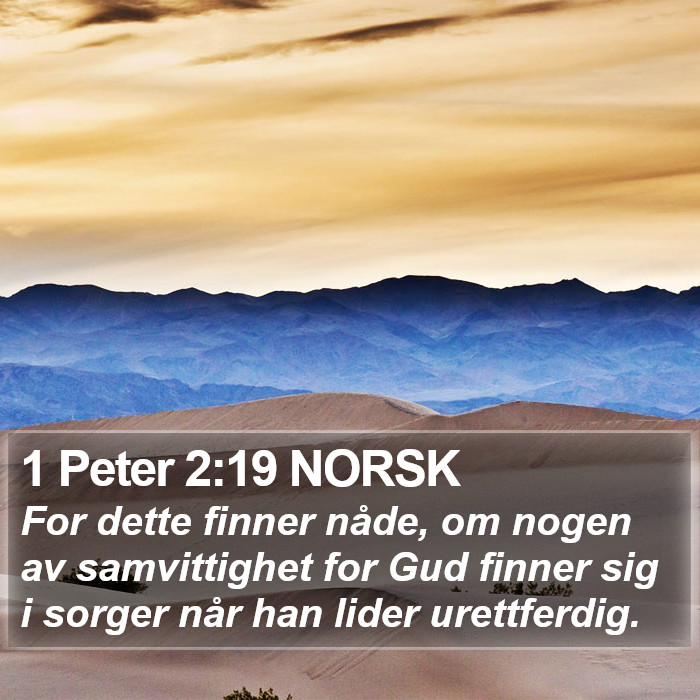 1 Peter 2:19 NORSK Bible Study