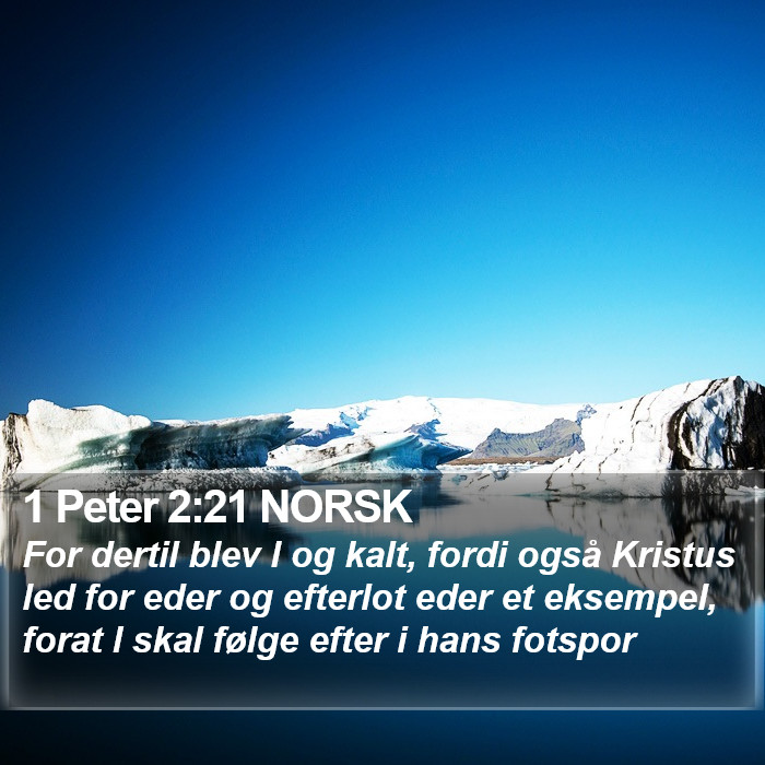 1 Peter 2:21 NORSK Bible Study