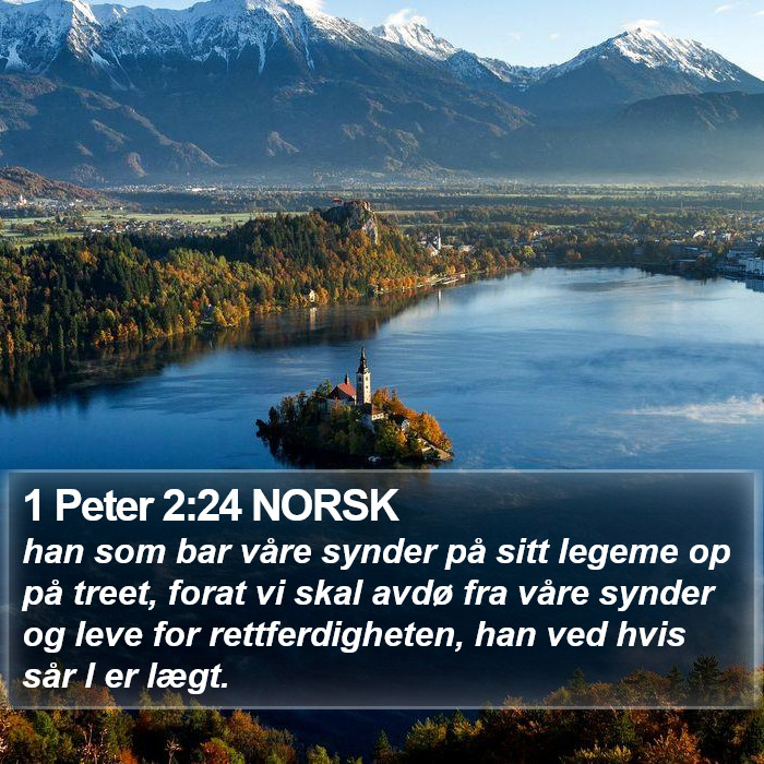 1 Peter 2:24 NORSK Bible Study