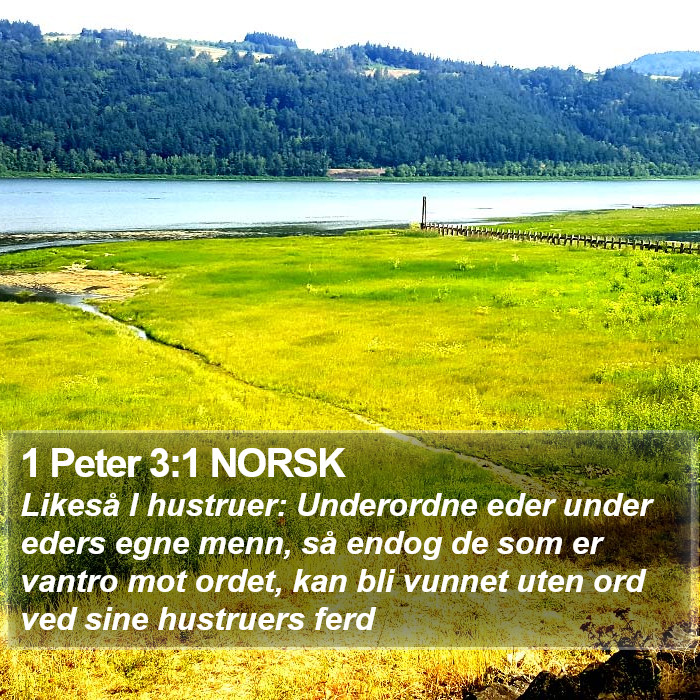 1 Peter 3:1 NORSK Bible Study