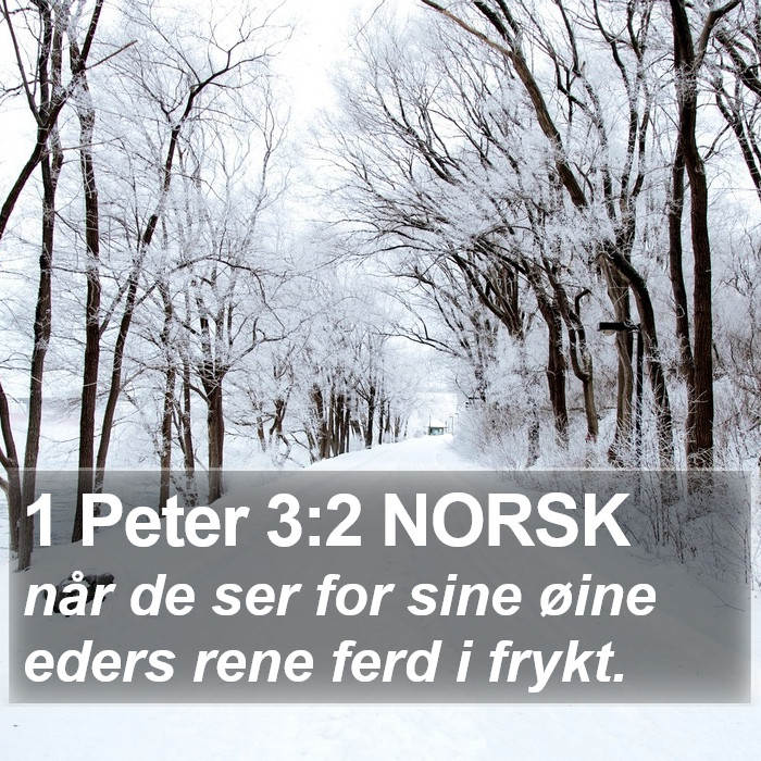 1 Peter 3:2 NORSK Bible Study