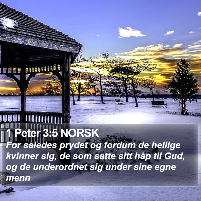 1 Peter 3:5 NORSK Bible Study