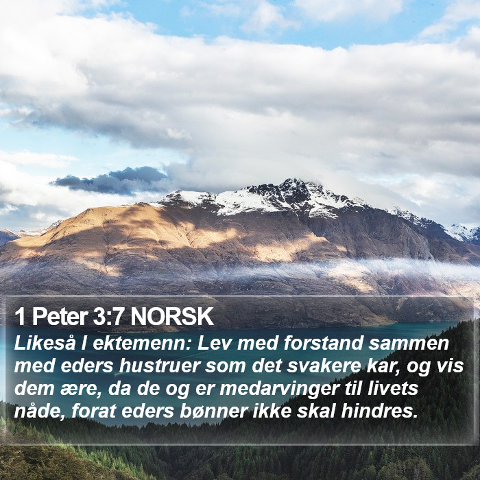 1 Peter 3:7 NORSK Bible Study