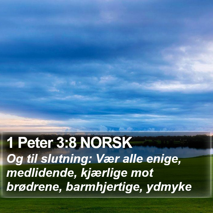 1 Peter 3:8 NORSK Bible Study