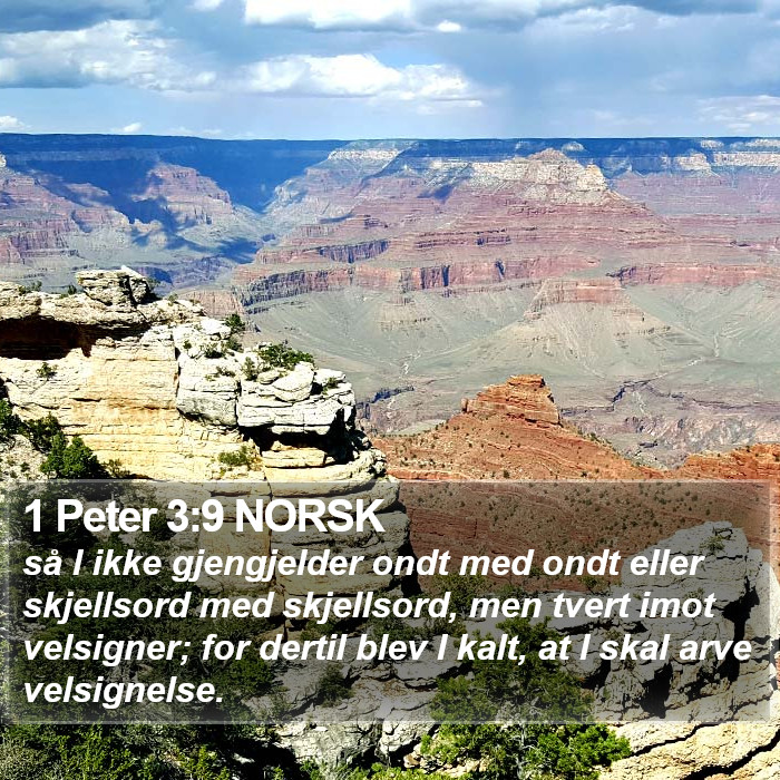 1 Peter 3:9 NORSK Bible Study