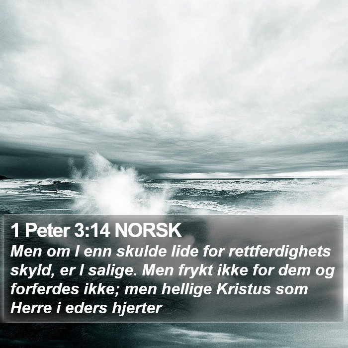 1 Peter 3:14 NORSK Bible Study