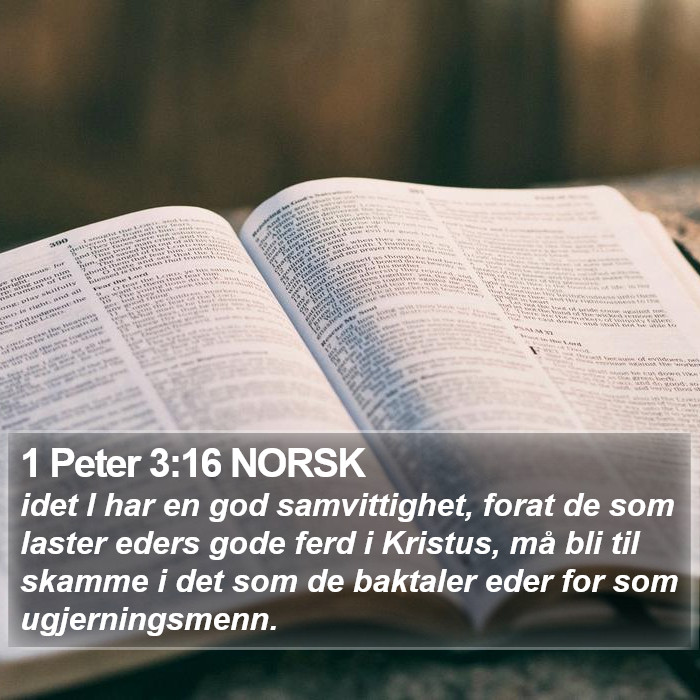 1 Peter 3:16 NORSK Bible Study