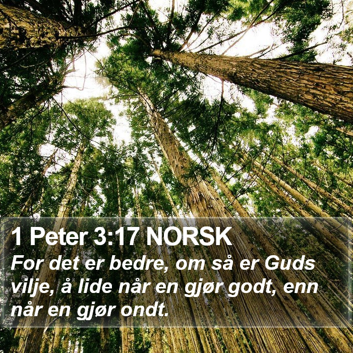 1 Peter 3:17 NORSK Bible Study